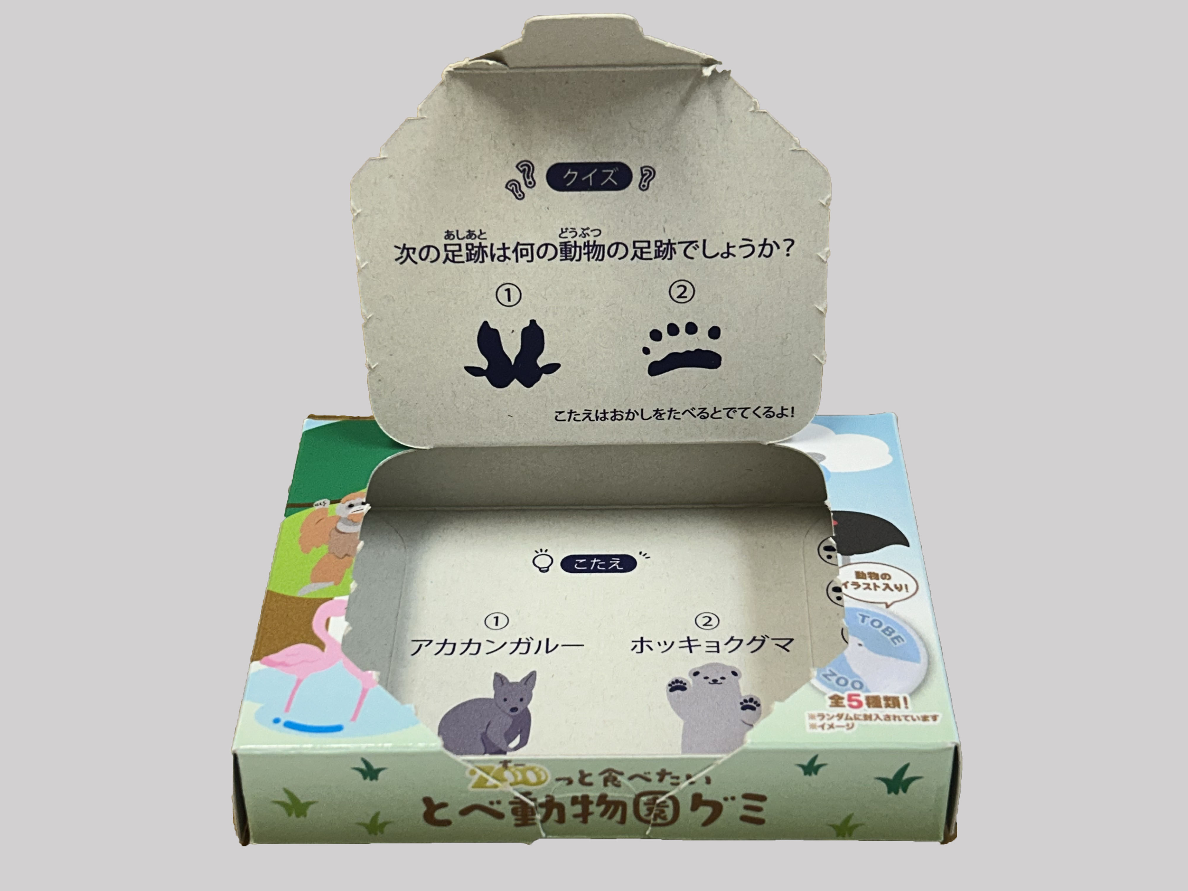 中身のグミの写真